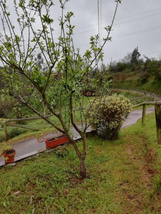 El Oteru I Guest House Villaviciosa  Exterior photo