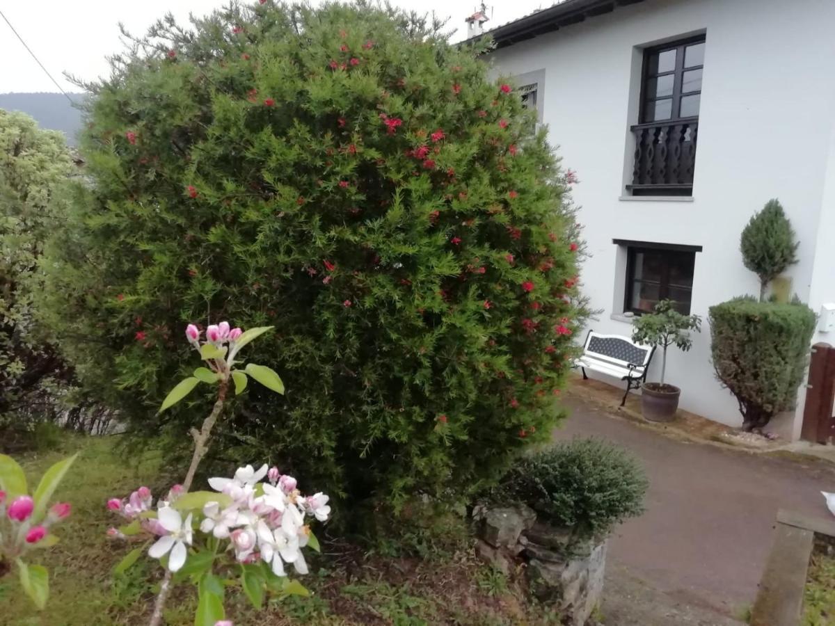 El Oteru I Guest House Villaviciosa  Exterior photo