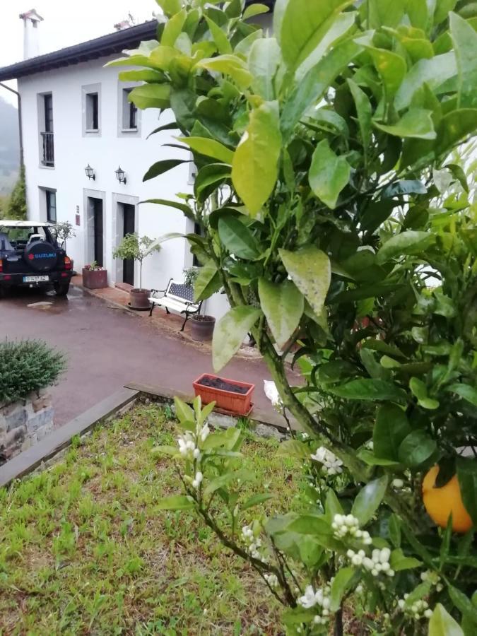 El Oteru I Guest House Villaviciosa  Exterior photo